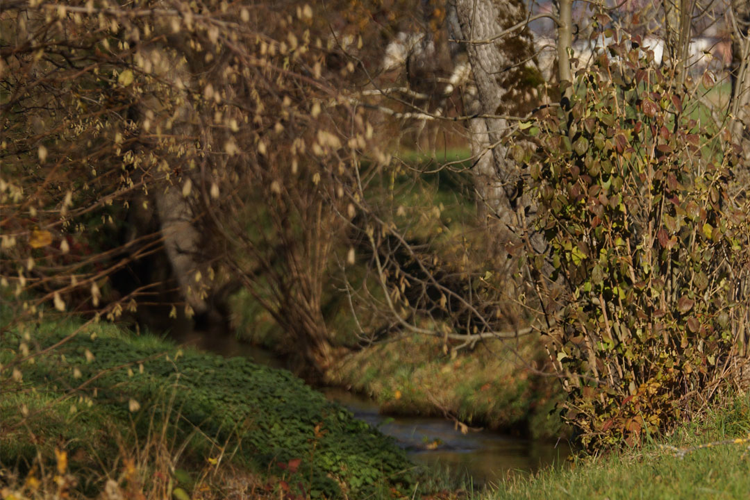 Sichere und inspirierende Spielumgebung in der KITA Glütschbach